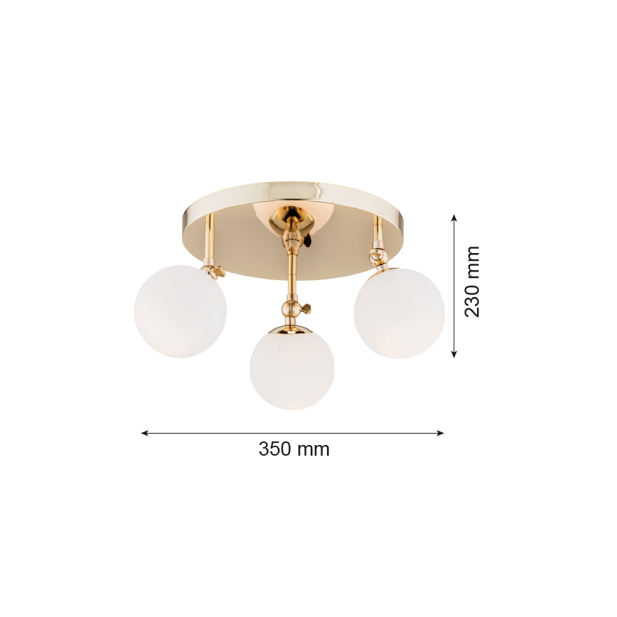 Argon 1435 - Bathroom surface-mounted chandelier LATINA 3xE14/40W/230V IP44