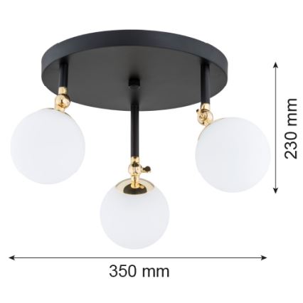 Argon 1436 - Bathroom surface-mounted chandelier LATINA 3xE14/40W/230V IP44