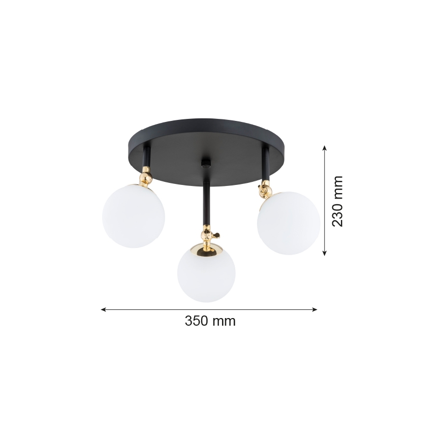 Argon 1436 - Bathroom surface-mounted chandelier LATINA 3xE14/40W/230V IP44