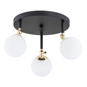 Argon 1436 - LATINA Bathroom Surface-Mounted Ceiling Light 3xE14/40W/230V IP44