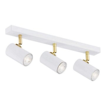 Argon 1475 - Spotlight LAGOS 3xGU10/5W/230V white/gold