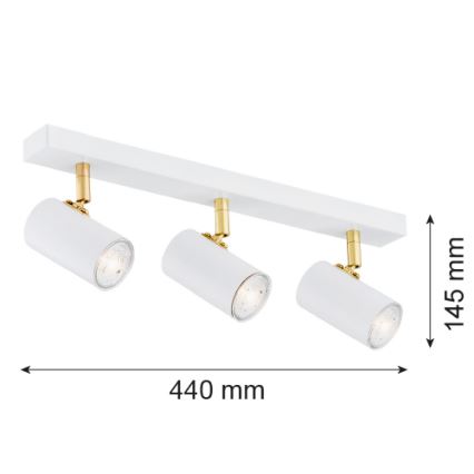 Argon 1475 - Spotlight LAGOS 3xGU10/5W/230V white/gold