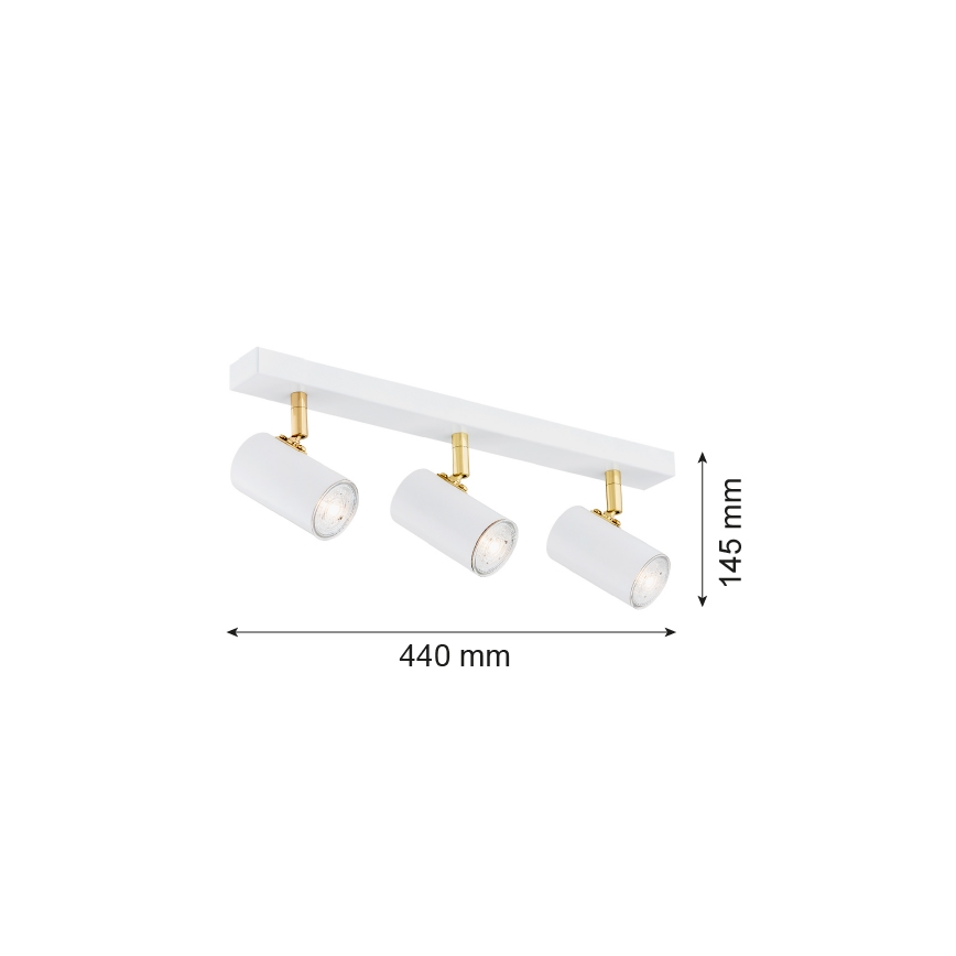 Argon 1475 - Spotlight LAGOS 3xGU10/5W/230V white/gold