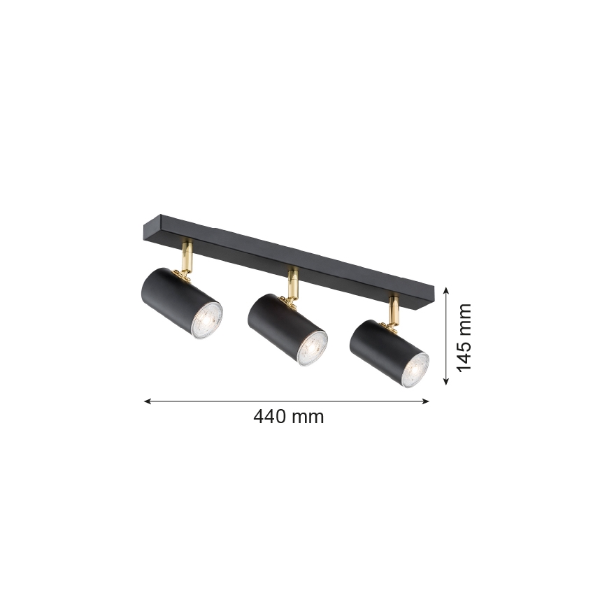 Argon 1476 - Spotlight LAGOS 3xGU10/5W/230V black/brass