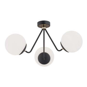Argon 1478 - Surface-mounted chandelier TOMAR 3xE27/15W/230V black