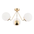 Argon 1481 - Surface-mounted chandelier TOMAR 3xE27/15W/230V brass