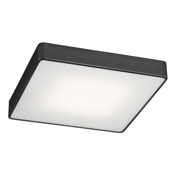 Argon 1577 - Ceiling light ONTARIO 4xE27/15W/230V