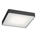 Argon 1580 - Ceiling light ONTARIO 4xE27/15W/230V