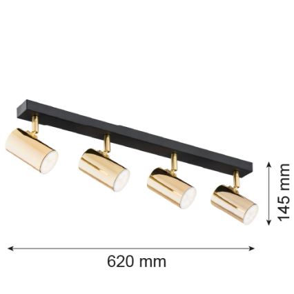 Argon 1688 - Spotlight LAGOS 4xGU10/5W/230V brass/black