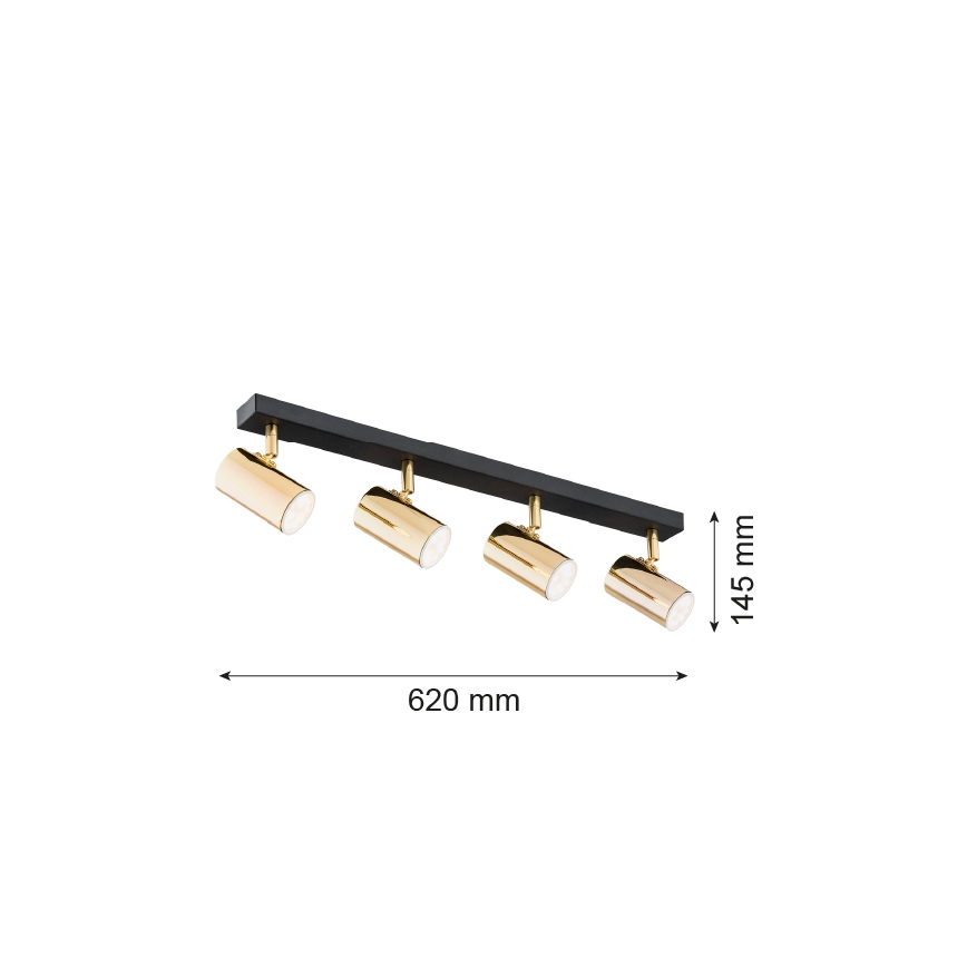 Argon 1688 - Spotlight LAGOS 4xGU10/5W/230V brass/black