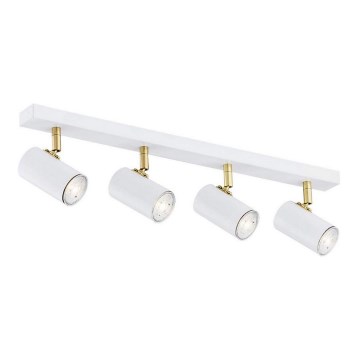 Argon 1689 - Spotlight LAGOS 4xGU10/5W/230V white/gold