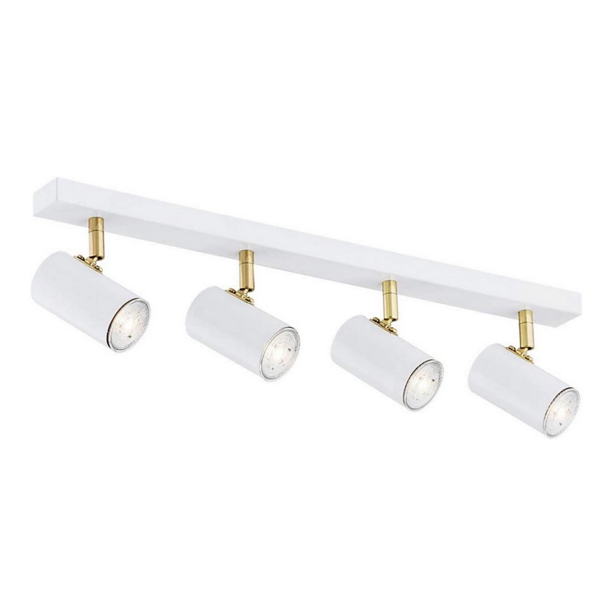 Argon 1689 - Spotlight LAGOS 4xGU10/5W/230V white/gold