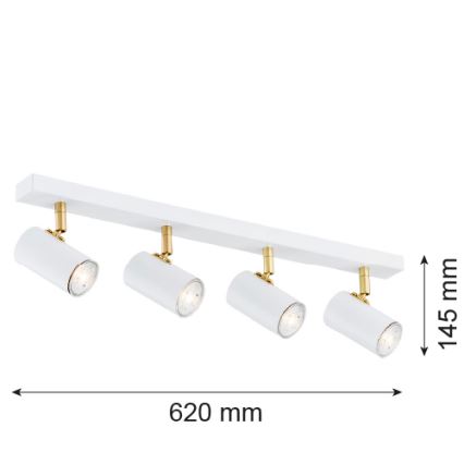 Argon 1689 - Spotlight LAGOS 4xGU10/5W/230V white/gold