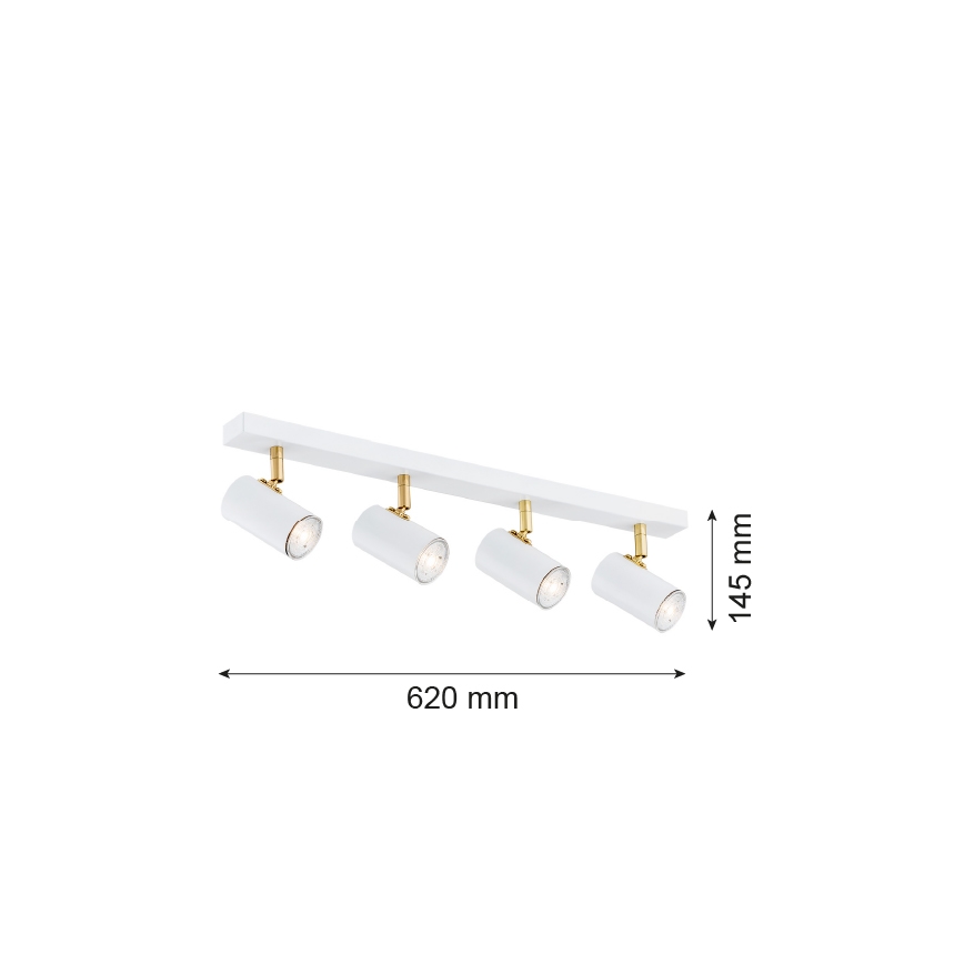 Argon 1689 - Spotlight LAGOS 4xGU10/5W/230V white/gold