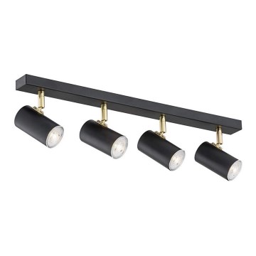 Argon 1690 - Spotlight LAGOS 4xGU10/5W/230V black/brass