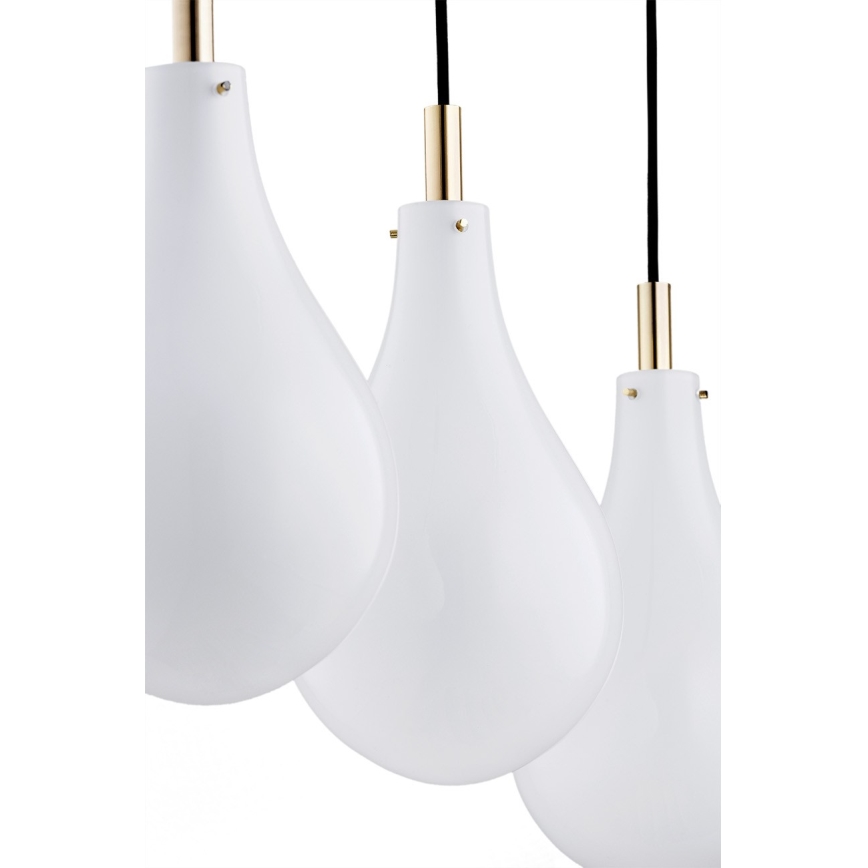 Argon 1741 - Chandelier on a string OAKLAND 4xG9/6W/230V
