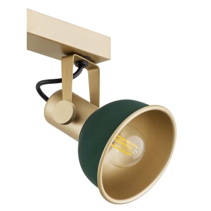 Argon 1800 - Spotlight LENORA 4xE14/7W/230V gold/green