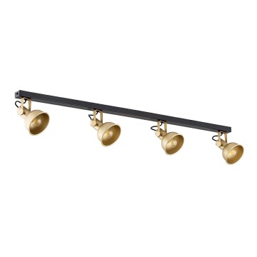 Argon 1801 - Spotlight LENORA 4xE14/7W/230V gold/black