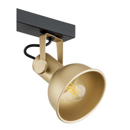 Argon 1801 - Spotlight LENORA 4xE14/7W/230V gold/black
