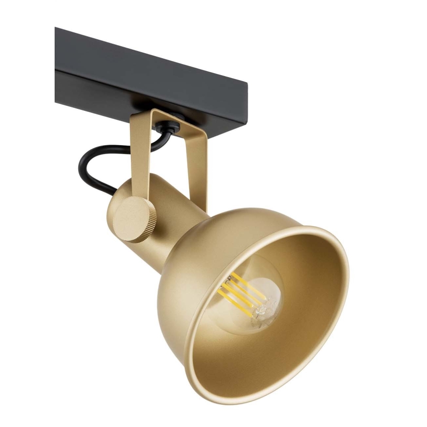 Argon 1801 - Spotlight LENORA 4xE14/7W/230V gold/black