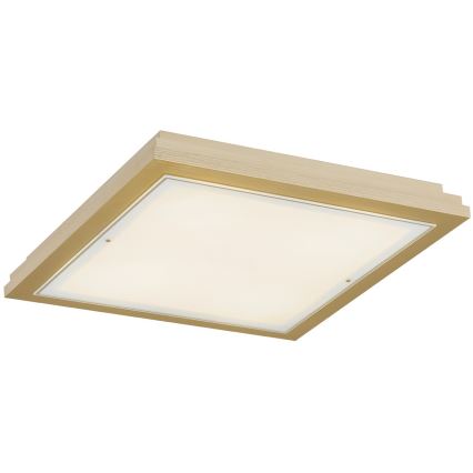 Argon 1804 - Ceiling light CASERTA 4xE27/15W/230V 52x52 cm
