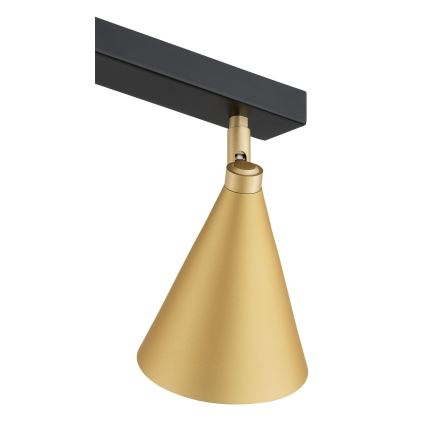 Argon 1807 - Spotlight LUCINDA 4xE14/7W/230V gold