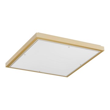 Argon 1816 - Ceiling light CARLSON 4xE27/15W/230V 60x60 cm gold