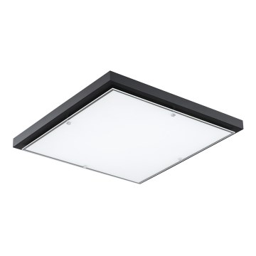 Argon 1826 - Ceiling light CARLSON 4xE27/15W/230V 60x60 cm black