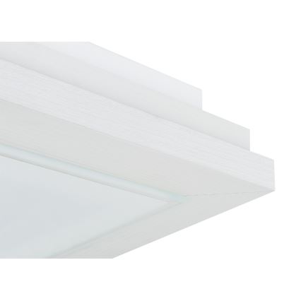 Argon 1865 - TABOR ceiling light 4xE27/15W/230V 42x42 cm white