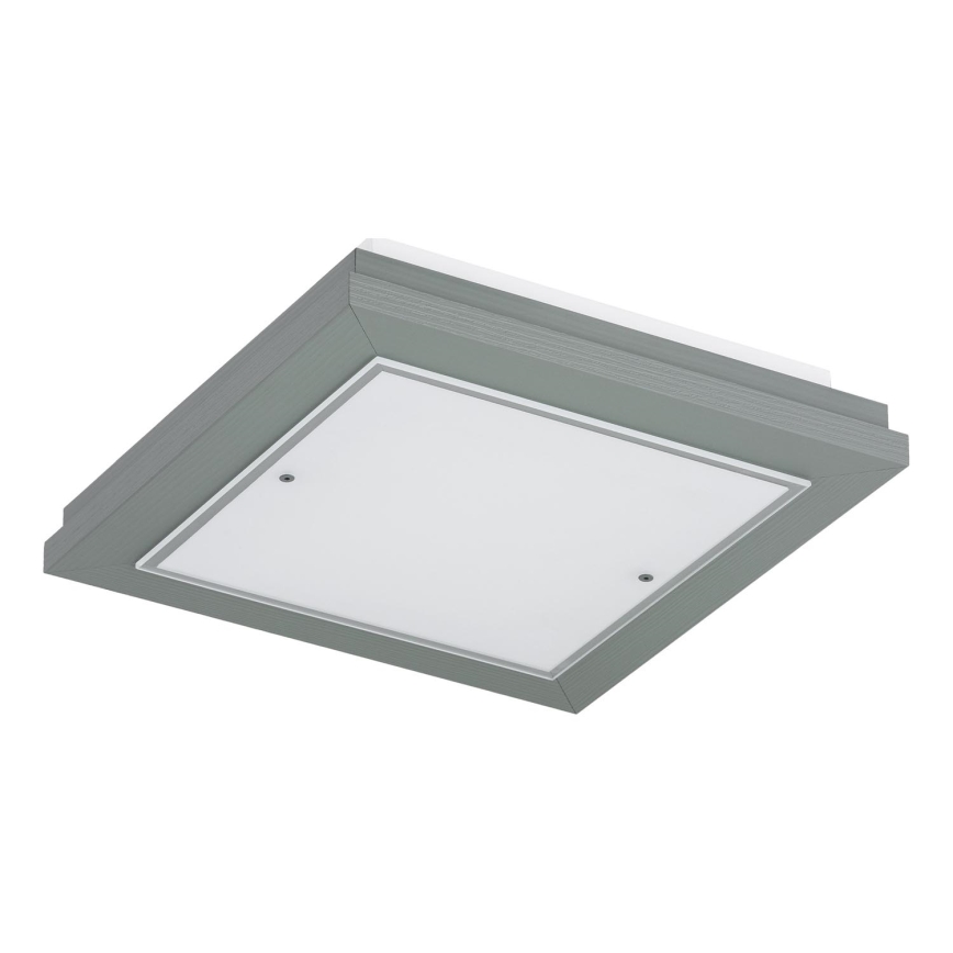 Argon 1868 - TABOR Ceiling Light 4xE27/15W/230V 42x42 cm gray