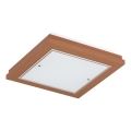 Argon 1872 - TABOR Ceiling light 4xE27/15W/230V 52x52 cm terracotta