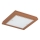Argon 1872 - TABOR Ceiling light 4xE27/15W/230V 52x52 cm terracotta