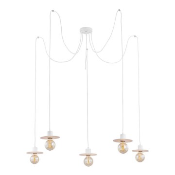 Argon 2077 - Chandelier on a string CORSO 5xE27/15W/230V spider white