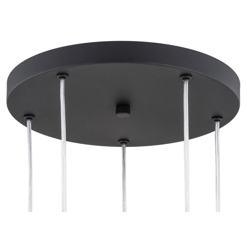 Argon 2103 - Chandelier on a string HOLLYWOOD 5xE14/7W/230V black