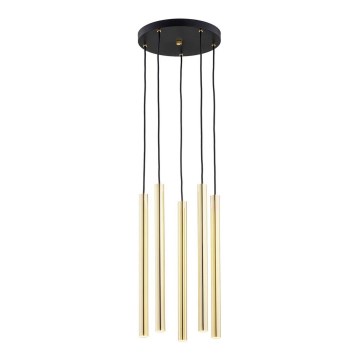 Argon 2109 - LED Chandelier on a string SICILIA 5xLED/4,5W/230V