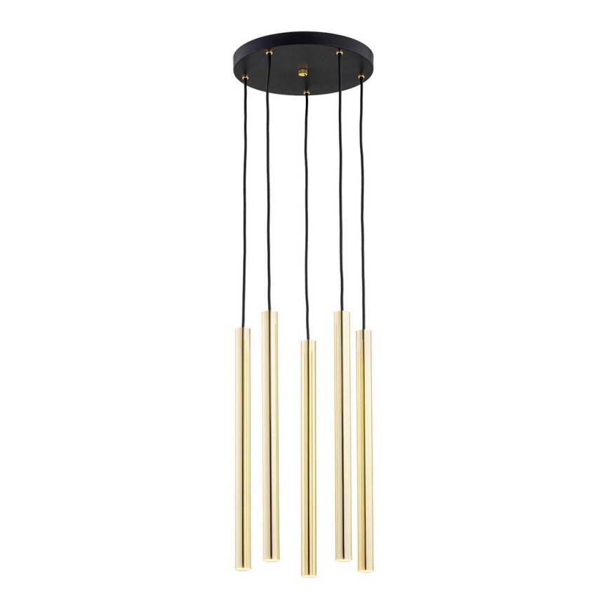 Argon 2109 - LED Chandelier on a string SICILIA 5xLED/4,5W/230V