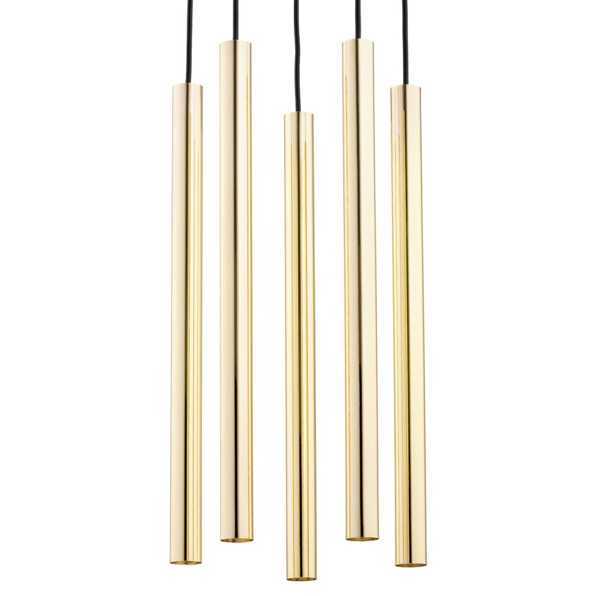 Argon 2109 - LED Chandelier on a string SICILIA 5xLED/4,5W/230V