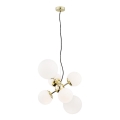 Argon 2532 - Chandelier on a string SATELITE 6xE27/15W/230V gold