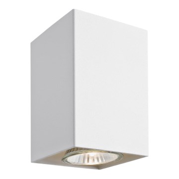 Argon 3087 - Spotlight TYBER 3 1xGU10/50W/230V