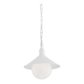 Argon 3296 - Outdoor chandelier ERBA BIS 1xE27/60W/230V