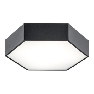 Argon 3823 - LED Ceiling light ARIZONA LED/22,5W/230V black
