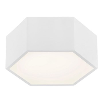 Argon 3828 - LED Ceiling light ARIZONA LED/9W/230V white