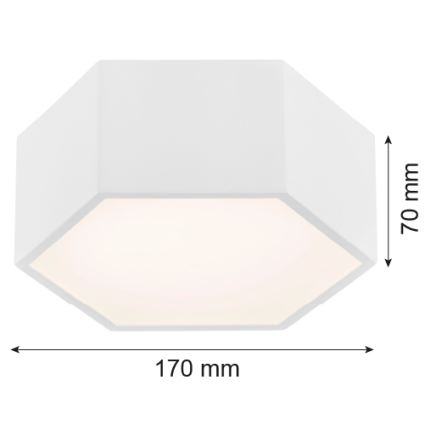 Argon 3828 - LED Ceiling light ARIZONA LED/9W/230V white