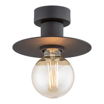 Argon 3882 - Ceiling light CORSO 1xE27/15W/230V black
