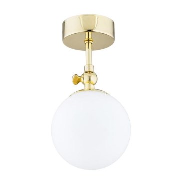 Argon 4001 - Bathroom flush-mounted ceiling light LATINA 1xE14/40W/230V IP44