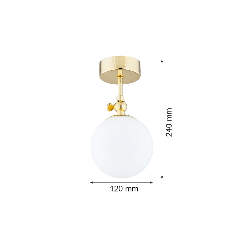 Argon 4001 - Bathroom flush-mounted ceiling light LATINA 1xE14/40W/230V IP44