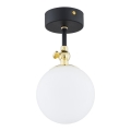 Argon 4003 - LATINA Bathroom Surface-Mounted Ceiling Light 1xE14/7W/230V IP44 Black/Brass