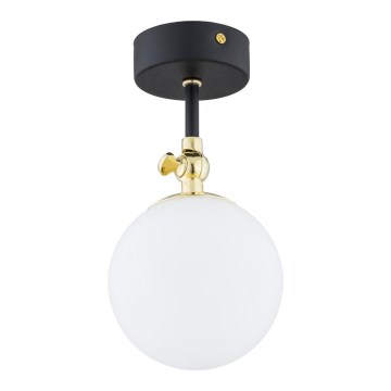 Argon 4003 - LATINA Bathroom Surface-Mounted Ceiling Light 1xE14/7W/230V IP44 Black/Brass