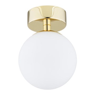 Argon 4004 - Bathroom ceiling light FLAVIO 1xE14/7W/230V IP44