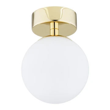 Argon 4004 - Bathroom ceiling light FLAVIO 1xE14/7W/230V IP44